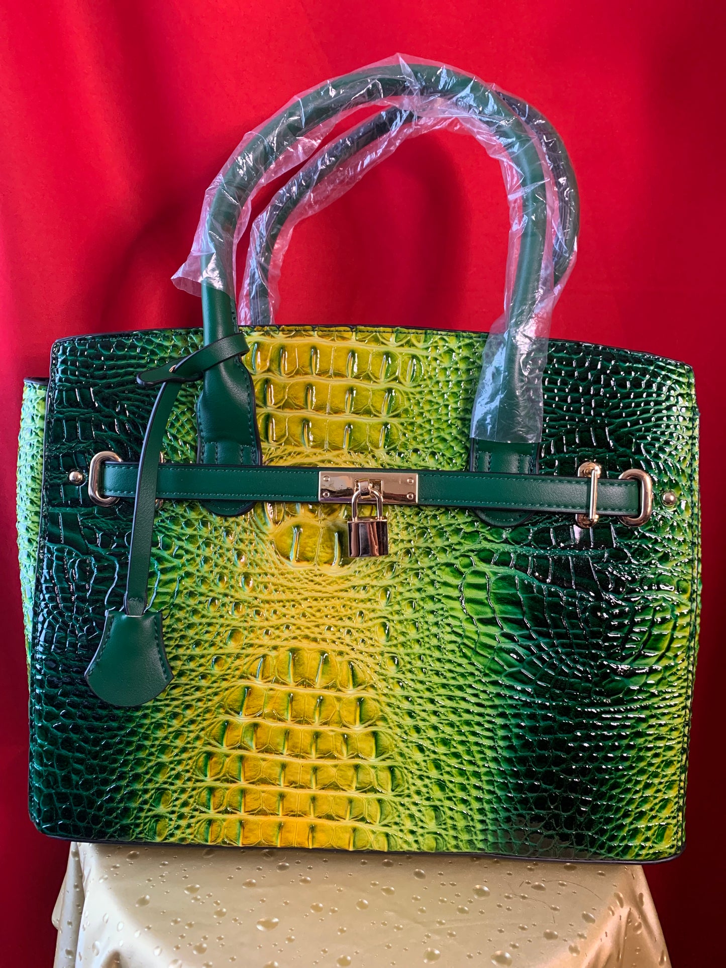 The Beautiful Bag