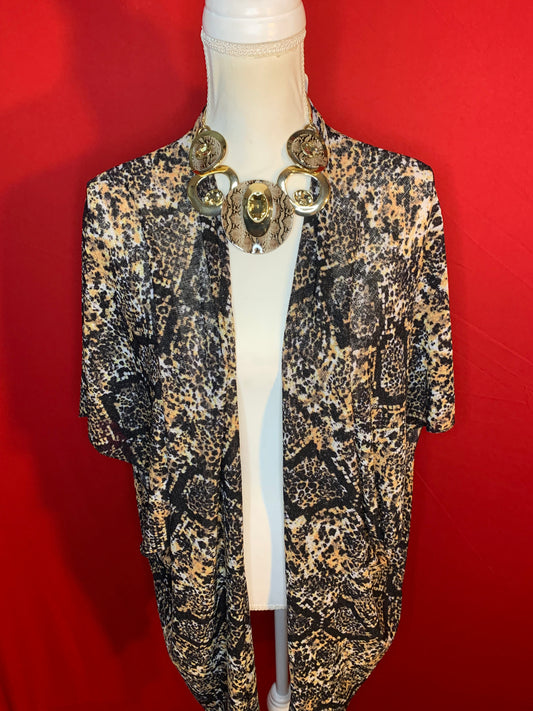 Python Kimono